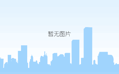 摩擦片及对偶钢片组件